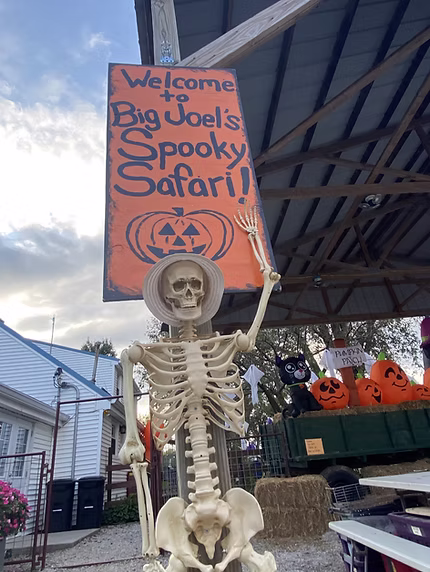 Big Joel's Spooky Safari