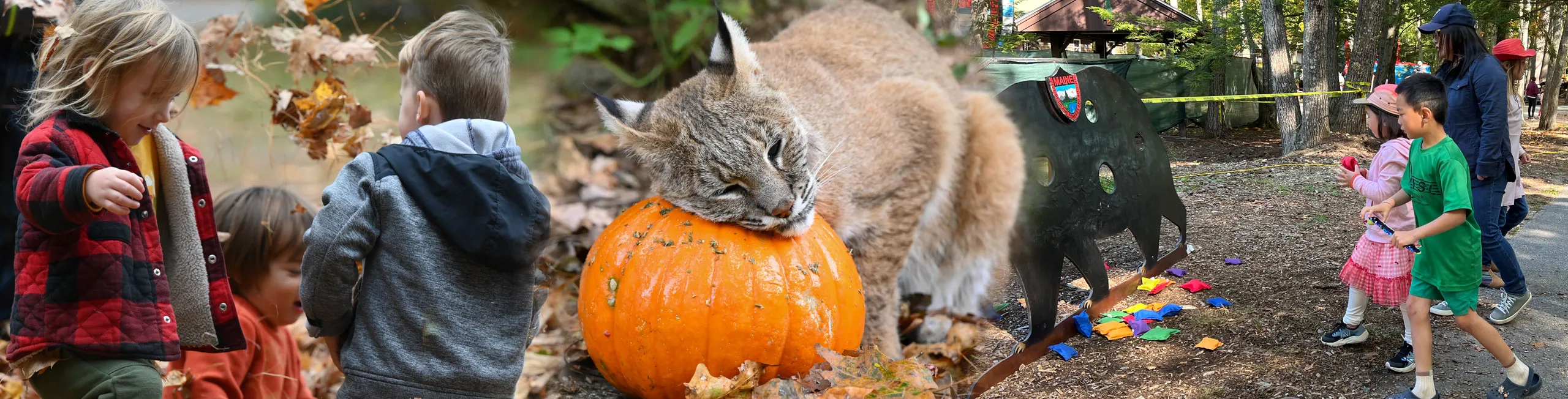 Fall Fun Days at Maine Wildlife Park — halloween_event in Gray, ME