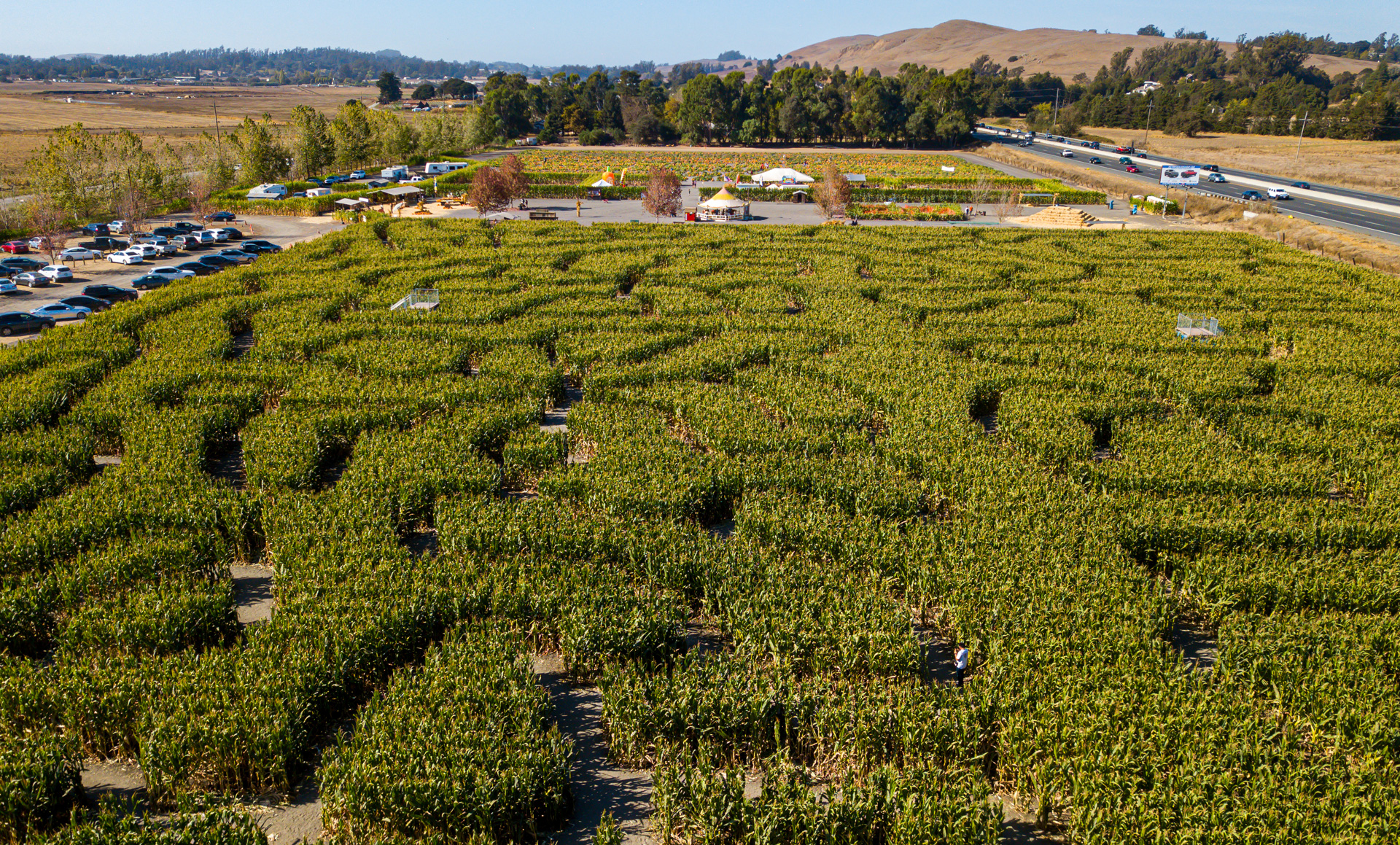 Petaluma Pumpkin Patch and Amazing Corn Maze — farm_fall_attraction in Petaluma, CA