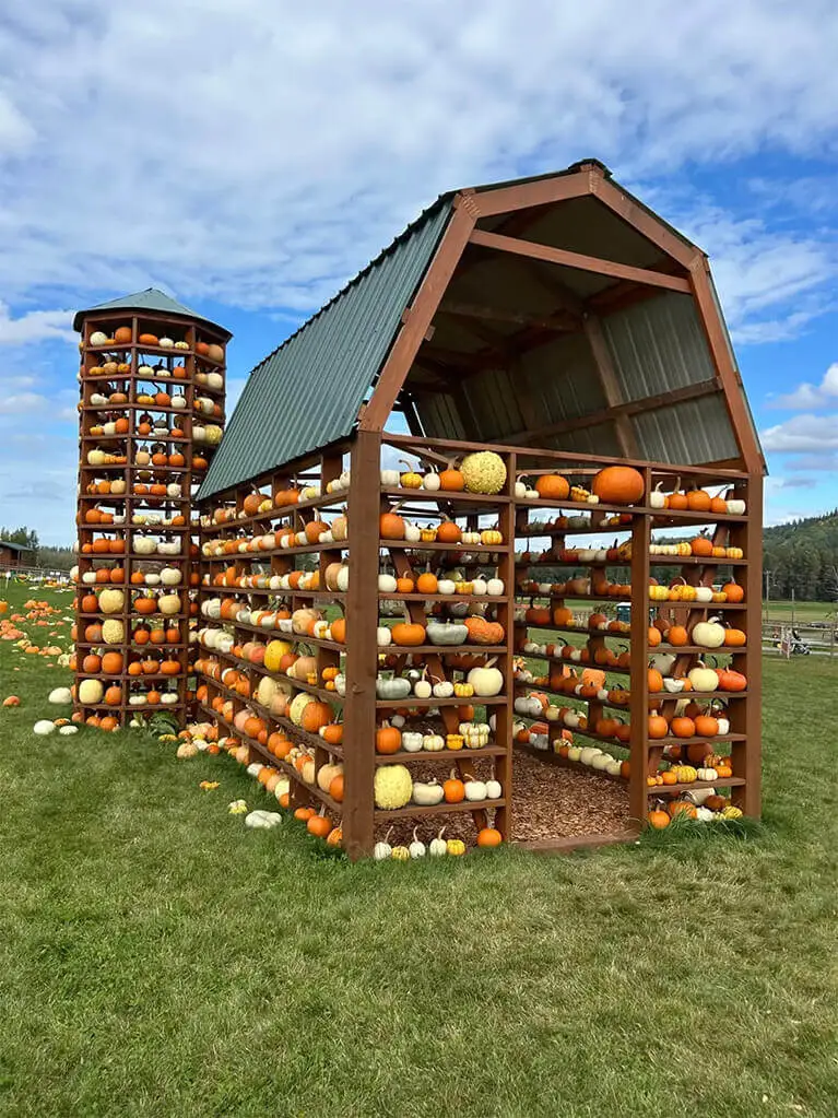 Bob's Corn & Pumpkin Farm โ farm_fall_attraction in Snohomish, WA