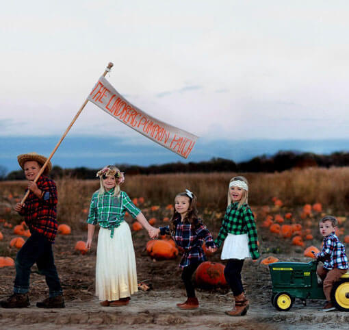 Lindberg Pumpkin Patch — farm_fall_attraction in Caledonia, IL