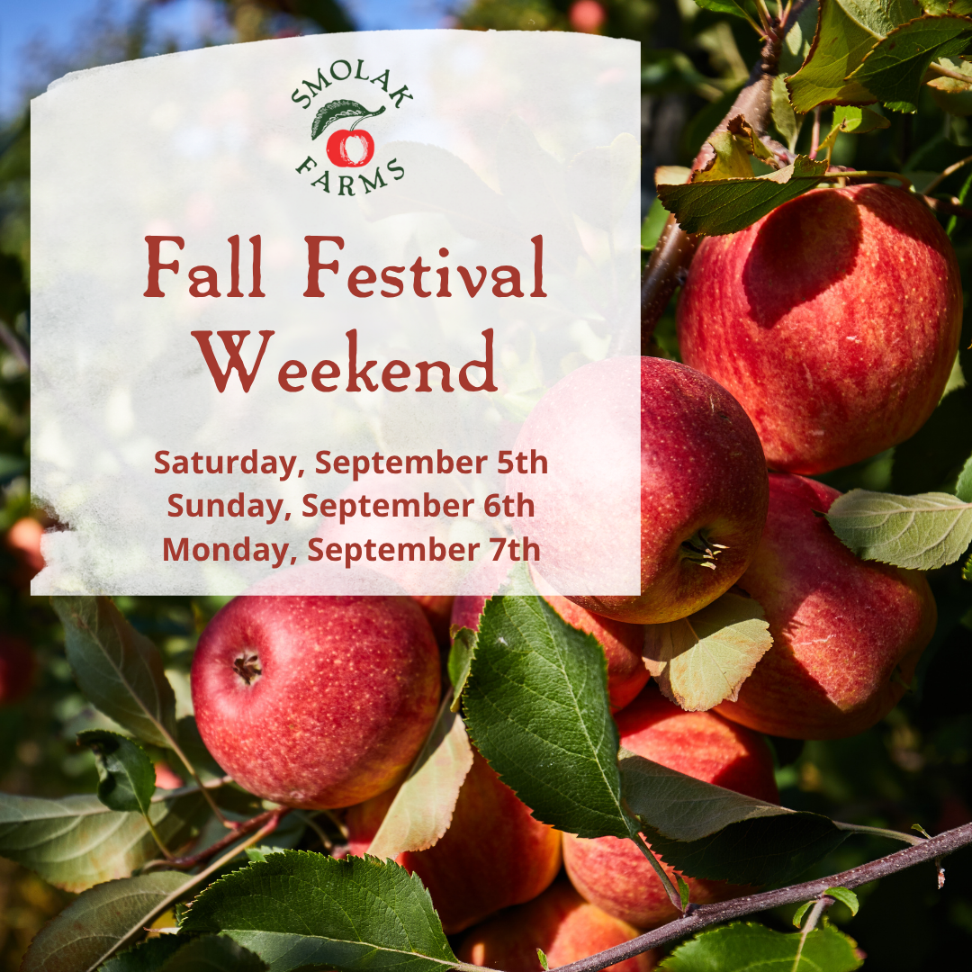 Smolak Farms โ farm_fall_attraction in North Andover, MA