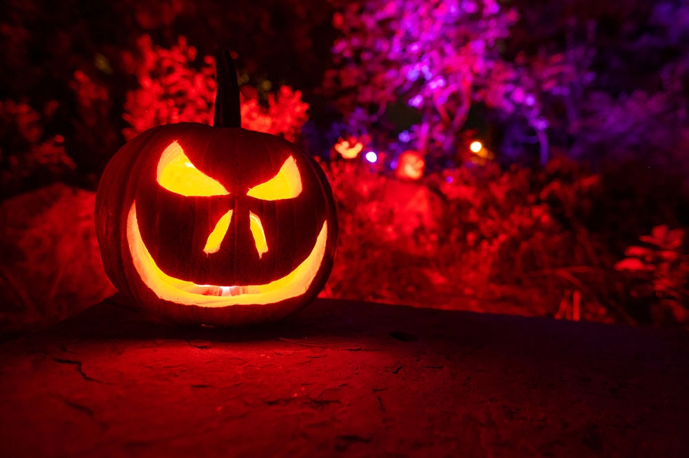 Glow at the Gardens — halloween_event in Denver, CO
