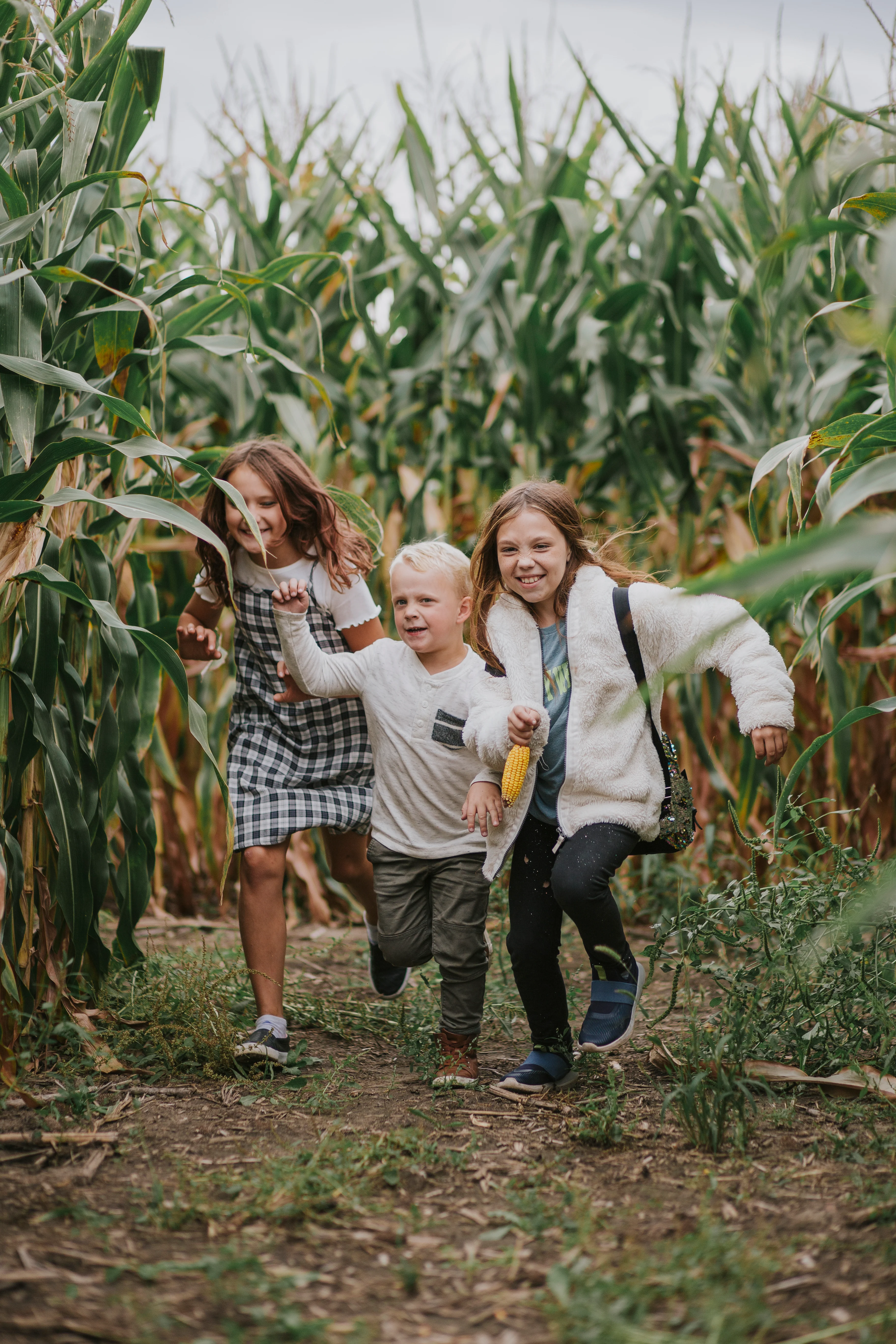 Sever's Fall Festival โ farm_fall_attraction in Shakopee, MN