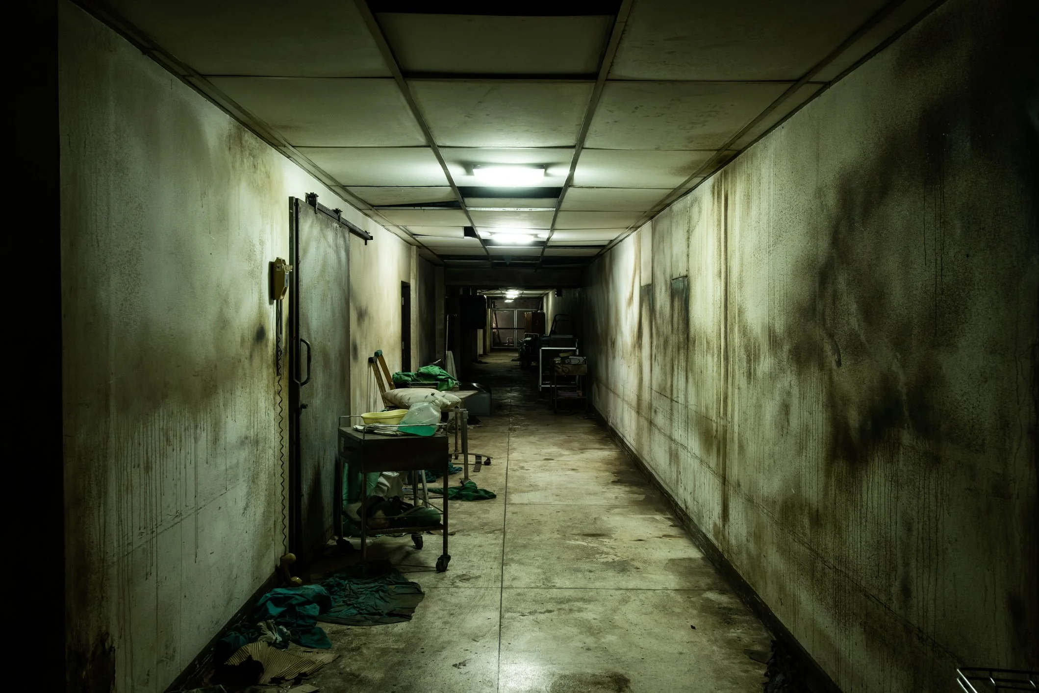 Asylum 49