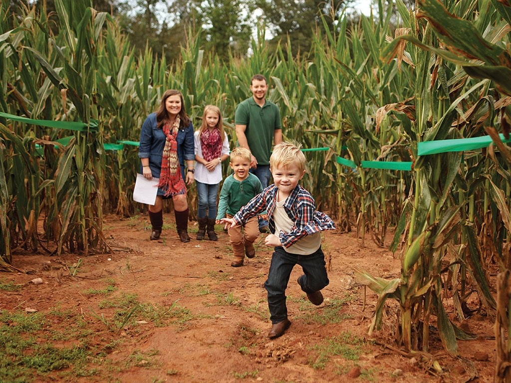 Jaemor Farms — farm_fall_attraction in Alto, GA