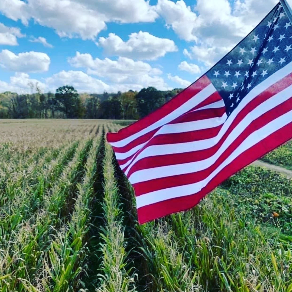 Armstrong Artisan Farm — farm_fall_attraction in Walnut Cove, NC
