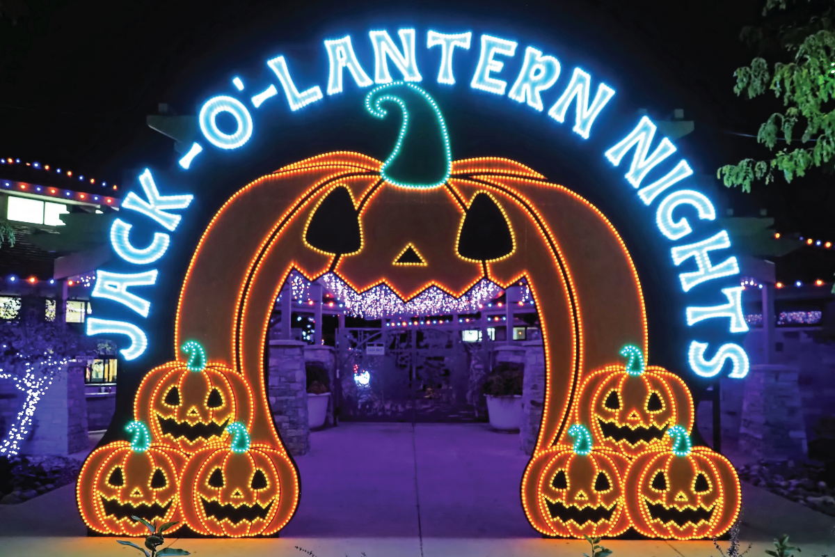 Jack O Lantern Nights at Racine Zoo
