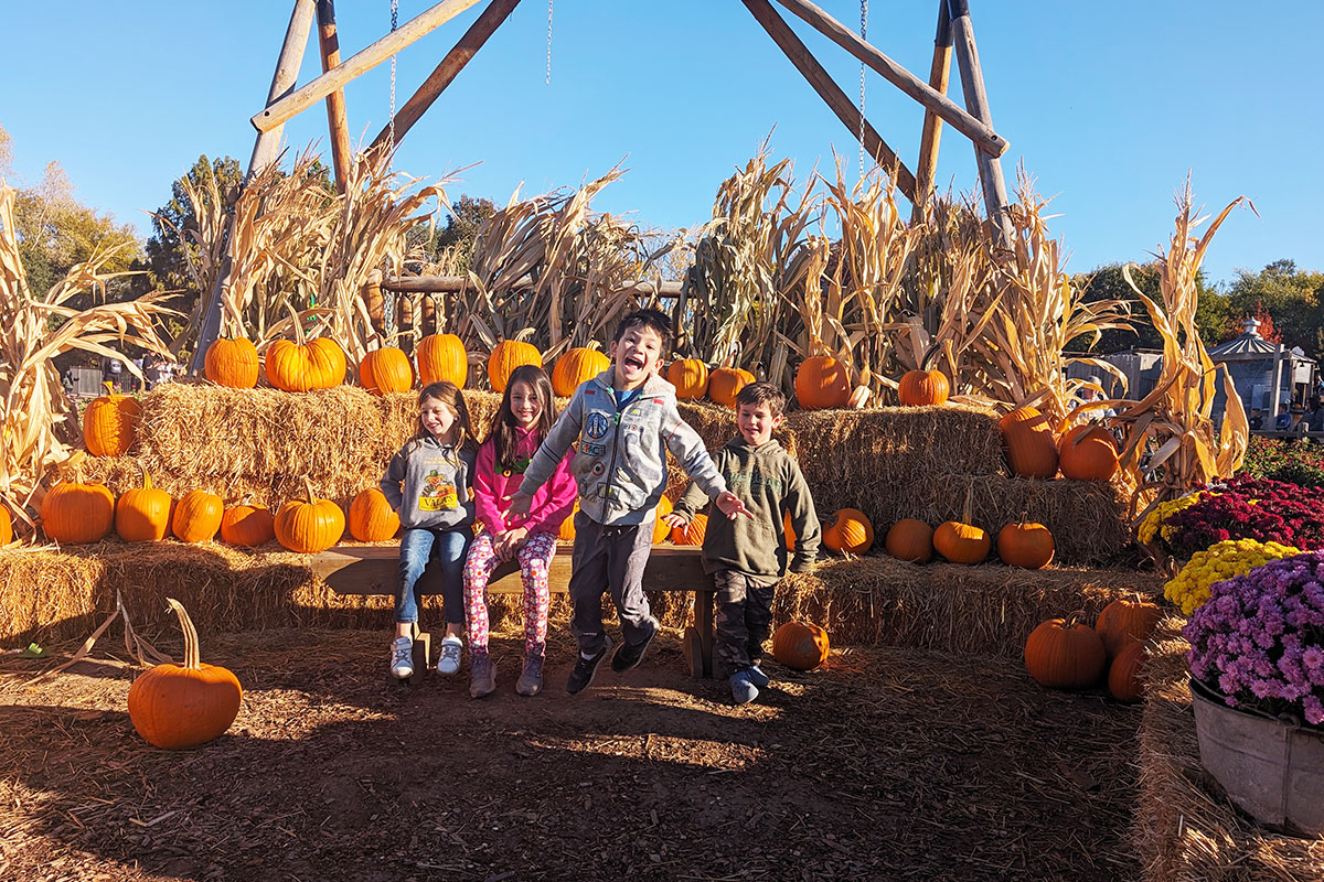 Vala's Pumpkin Patch & Apple Orchard โ farm_fall_attraction in Gretna, NE
