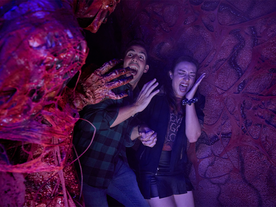 Halloween Horror Nights at Universal Orlando Resort — pro_haunt in Orlando, FL
