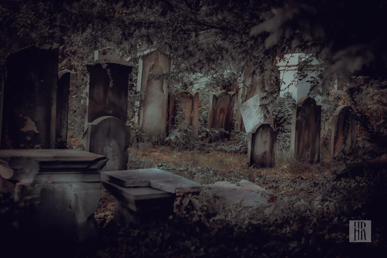 Catman's Grave