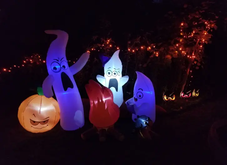 Wacky Halloween Walk-Thru — home_haunt in Boyds, MD