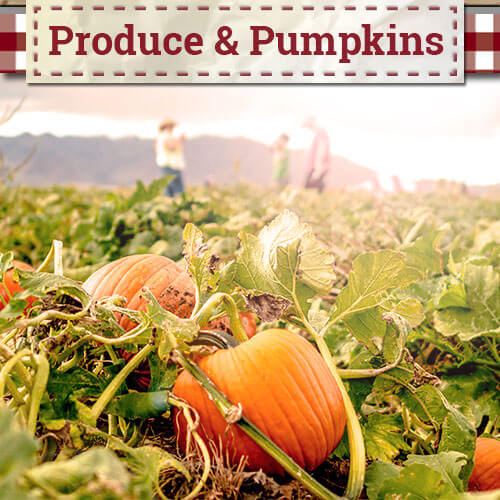 The Scarecrow Walk at Apple Annie's — farm_fall_attraction in Willcox, AZ