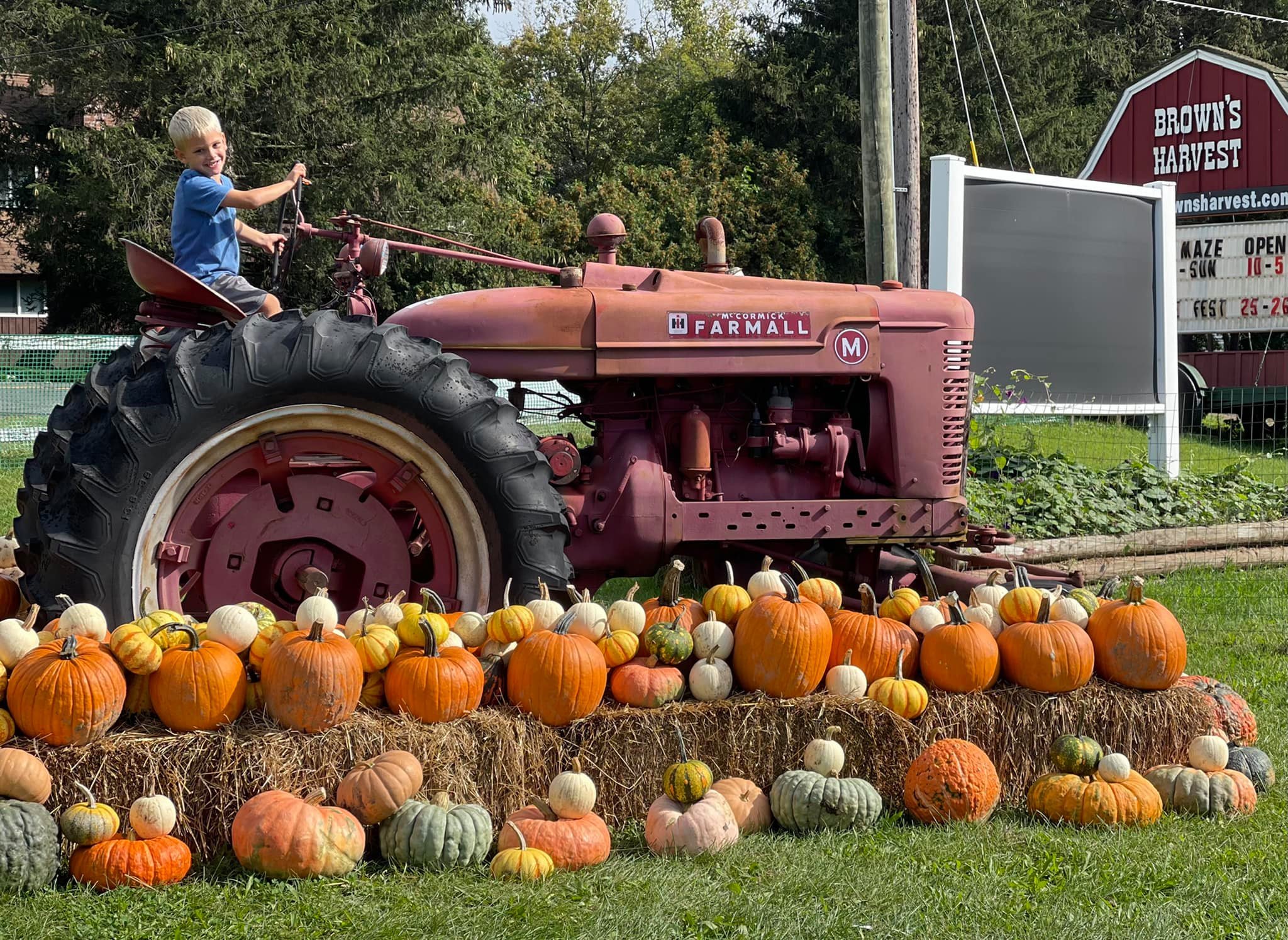 Brown's Harvest Fall Festival β farm_fall_attraction in Windsor, CT