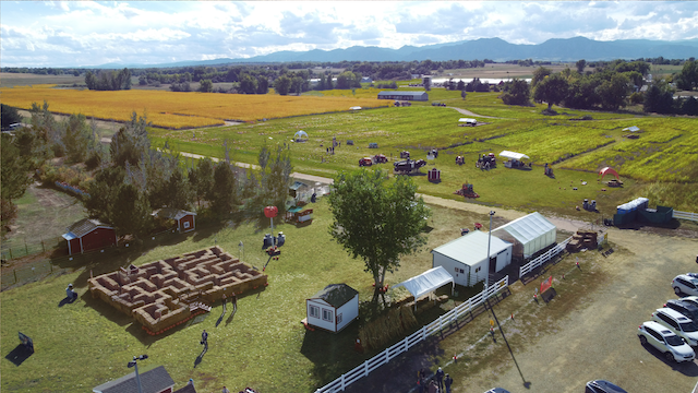 Cottonwood Farms Pumpkin Patch — farm_fall_attraction in Boulder, CO