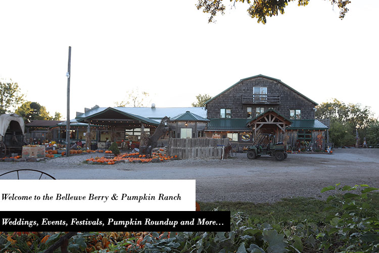 Bellevue Berry Farm & Pumpkin Ranch