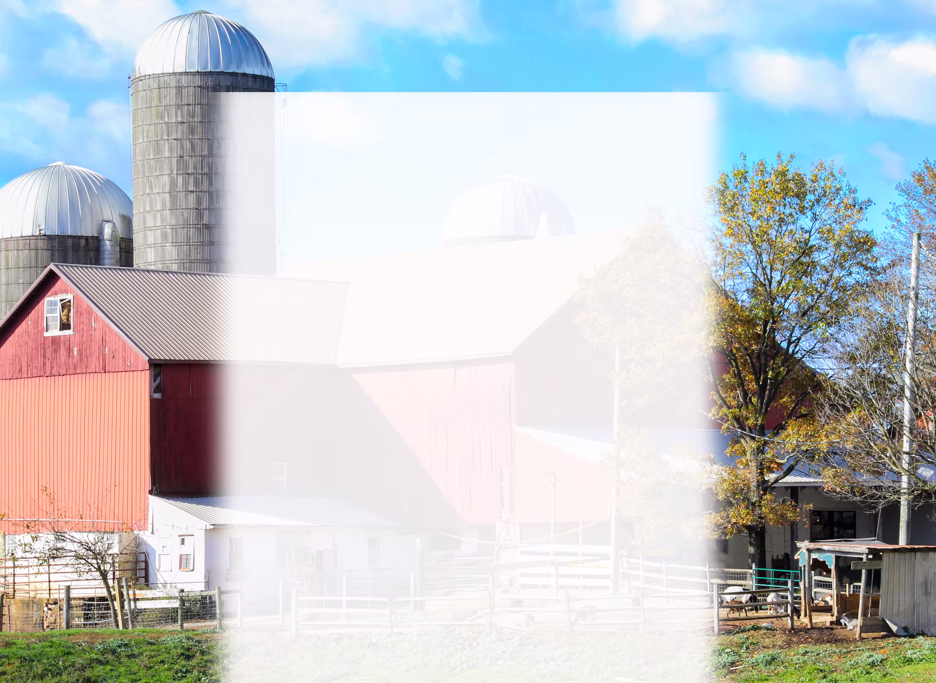 Winding Brook Farm Haunted Attractions — pro_haunt in Warrington, PA