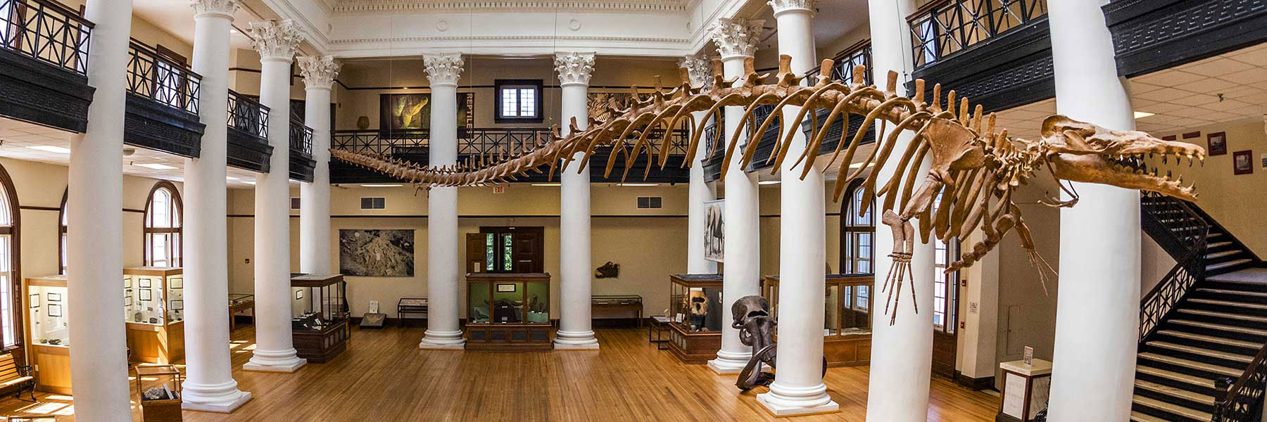 Halloween at the Museum