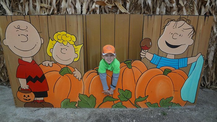 Goebbert's Farm South Barrington — farm_fall_attraction in South Barrington, IL