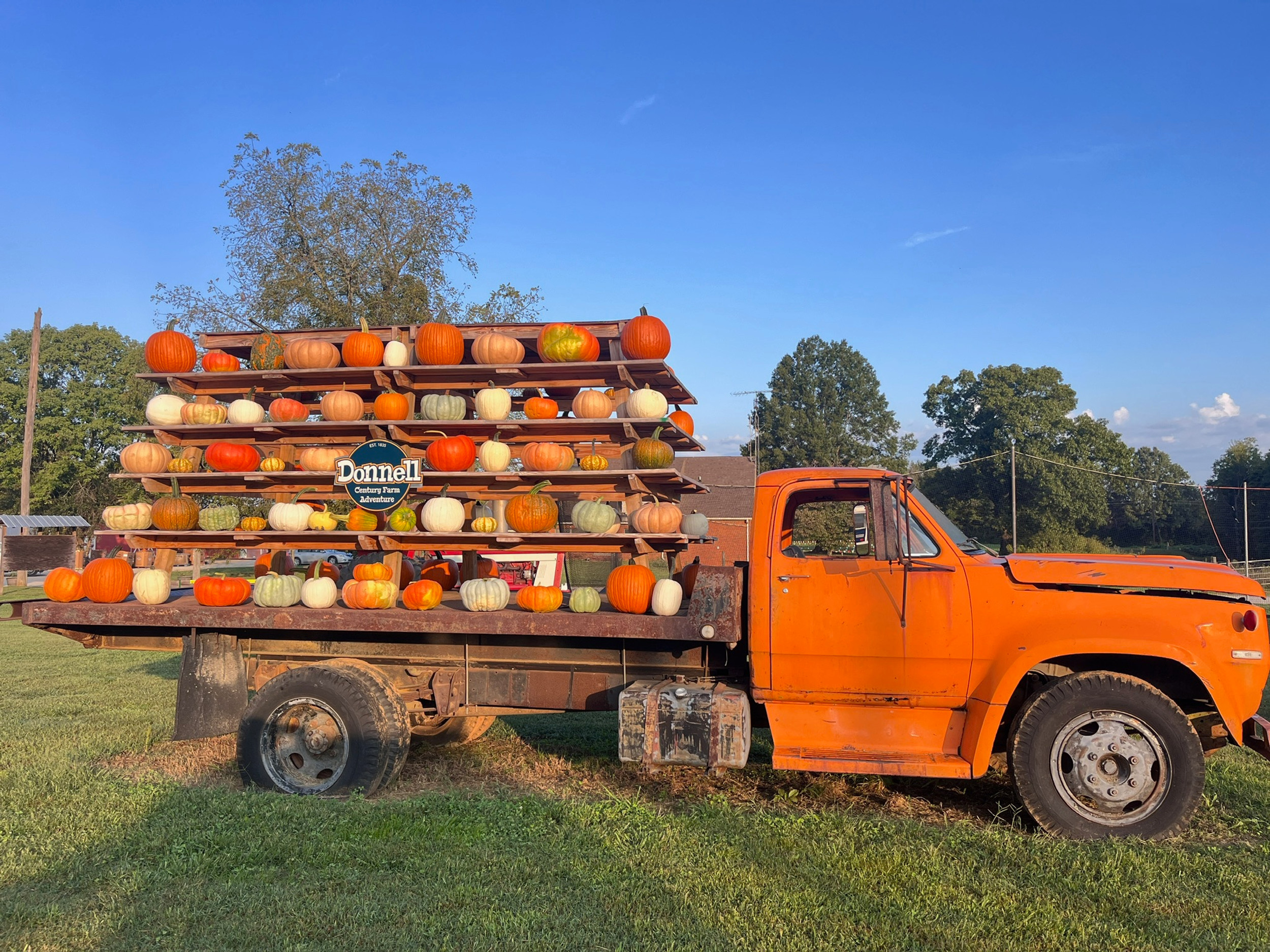 Tennessee Pumpkin Fest at Donnell Century Farm — farm_fall_attraction in Jackson, TN