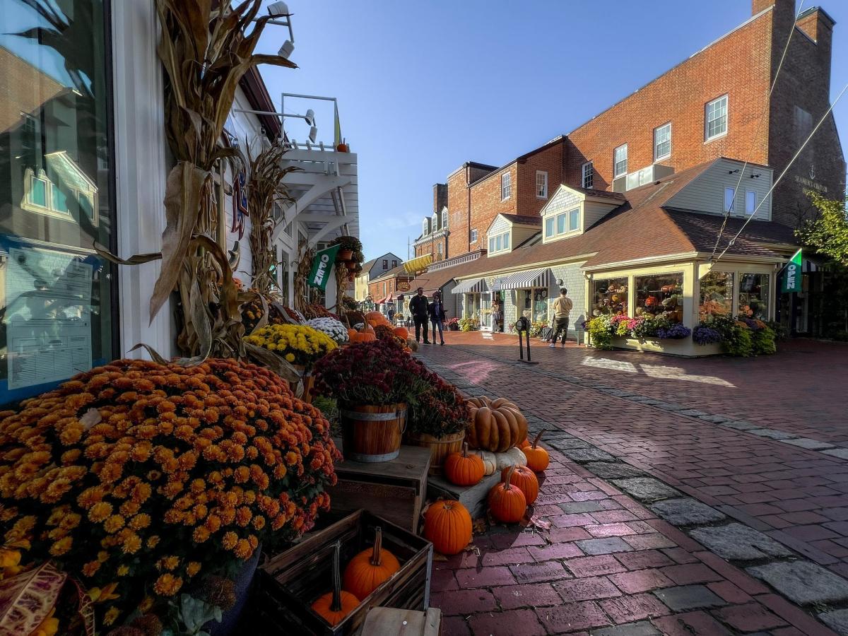 Trick or Treat at BOOwen's Wharf — halloween_event in Newport, RI