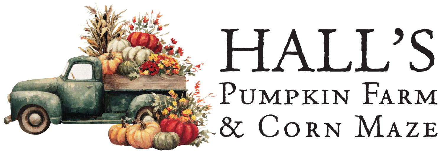 Hall's Pumpkin Farm — farm_fall_attraction in Grapevine, TX