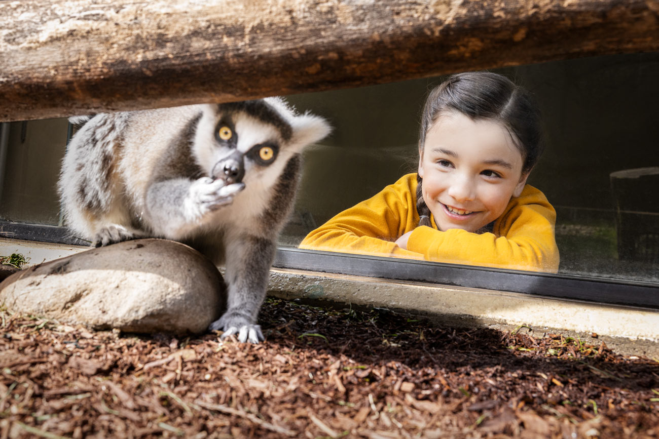 Howloween at Oregon Zoo