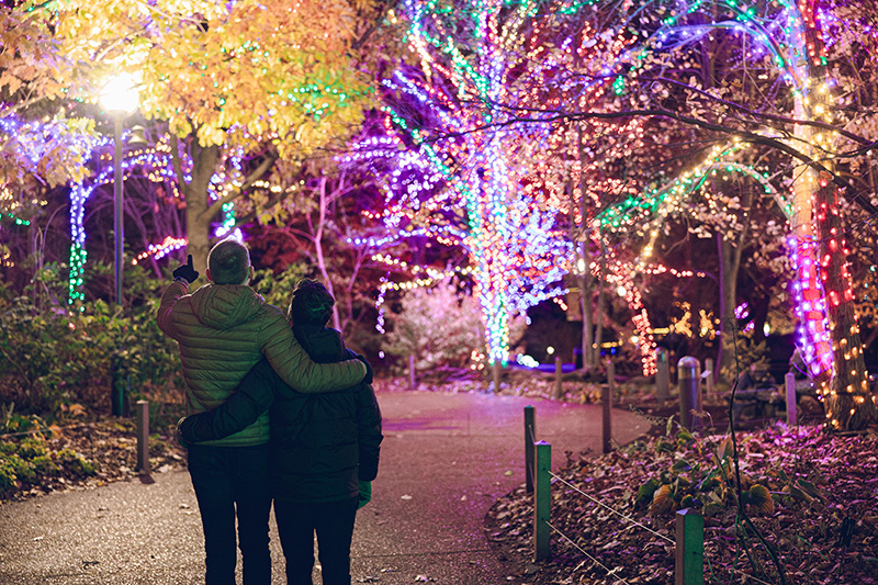 Lincoln Park Zoo โ Christmas