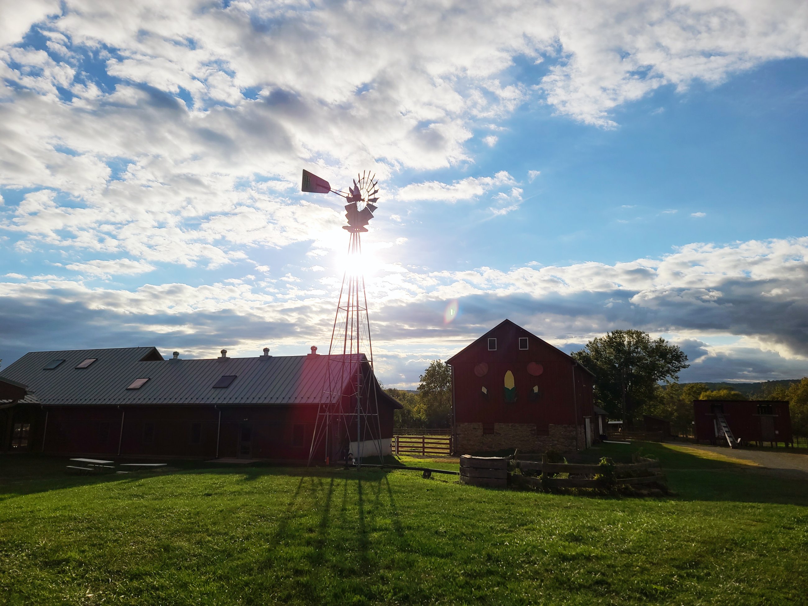 Temple Hall Farm Regional Park — farm_fall_attraction in Leesburg, VA