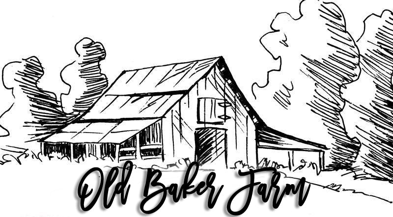 Old Baker Farm Fall Festival — farm_fall_attraction in Harpersville, AL