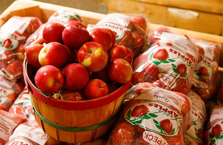 Minnesota Harvest Apple Orchard — farm_fall_attraction in Jordan, MN