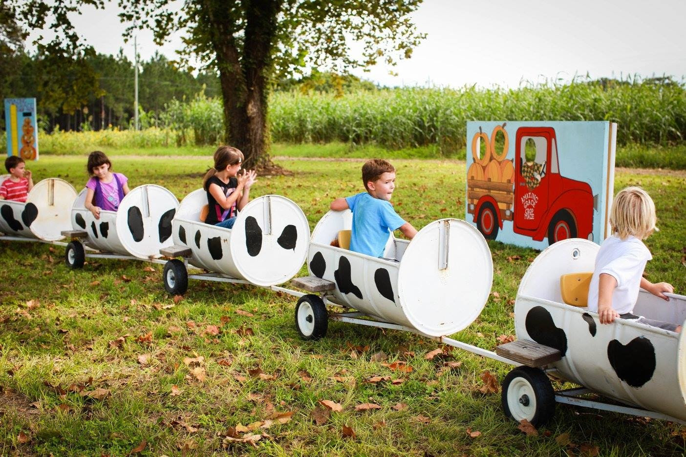 Amazing Grace Family Farms Fall Festival โ farm_fall_attraction in Green Cove Springs, FL