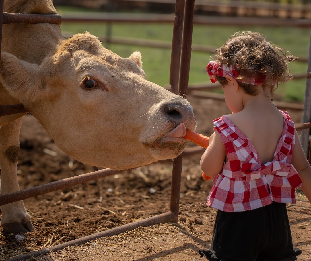 Mother Nature's Farm Pumpkin Patch ā farm_fall_attraction in Gilbert, AZ