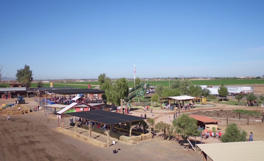 Vertuccio Farms Fall Festival — farm_fall_attraction in Mesa, AZ