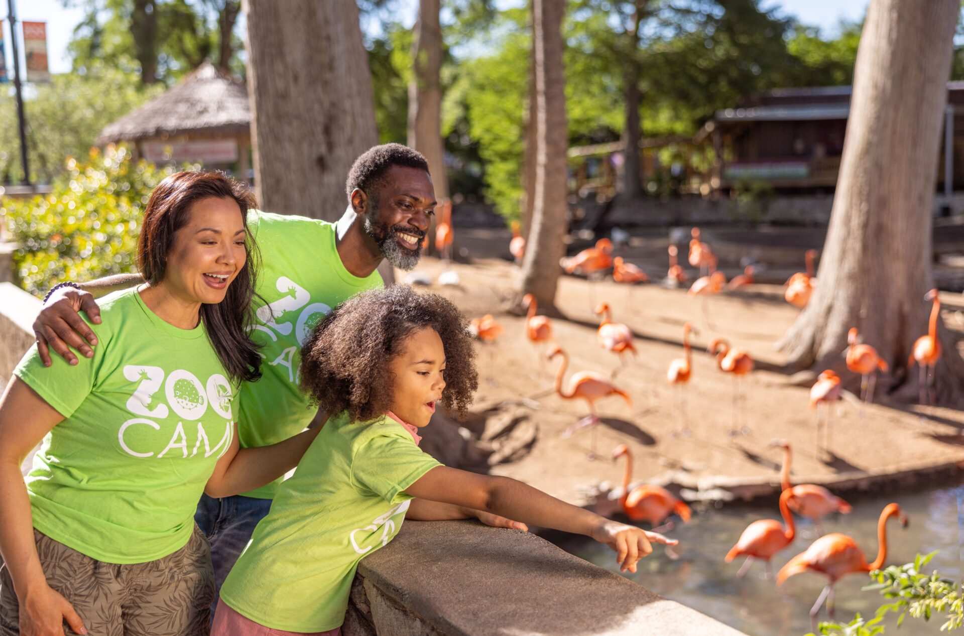 San Antonio Zoo Boo