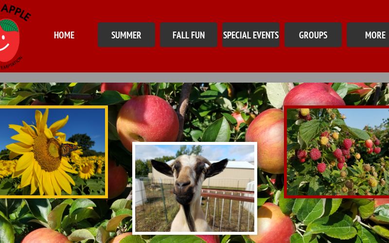 Afton Apple Orchard — farm_fall_attraction in Hastings, MN