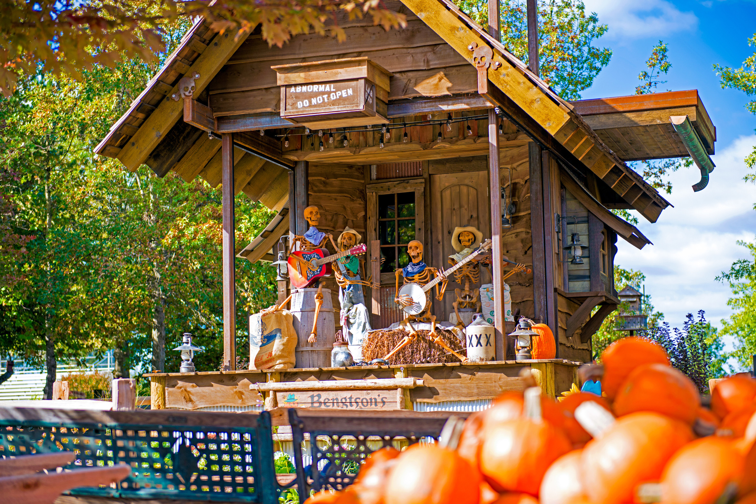 Bengtson's Pumpkin Farm — farm_fall_attraction in Homer Glen, IL