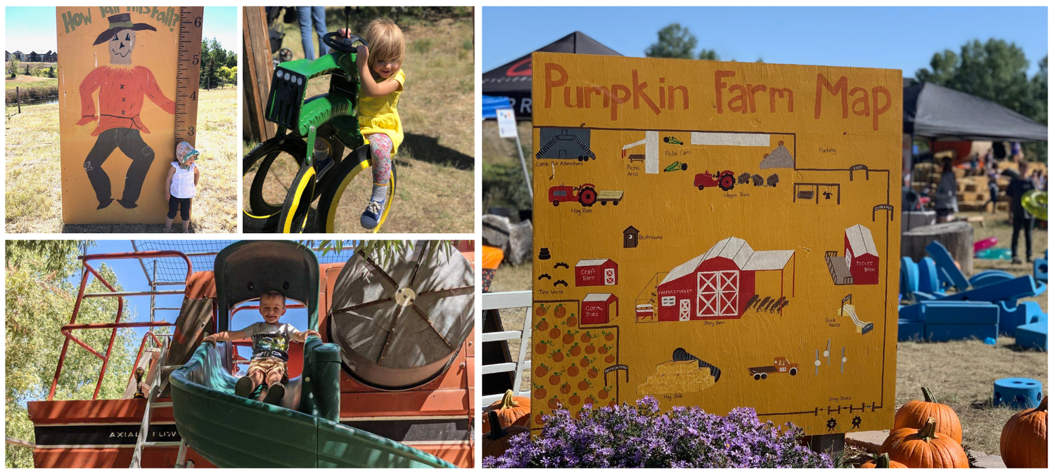 Long Neck Pumpkin Farm โ farm_fall_attraction in Colorado Springs, CO