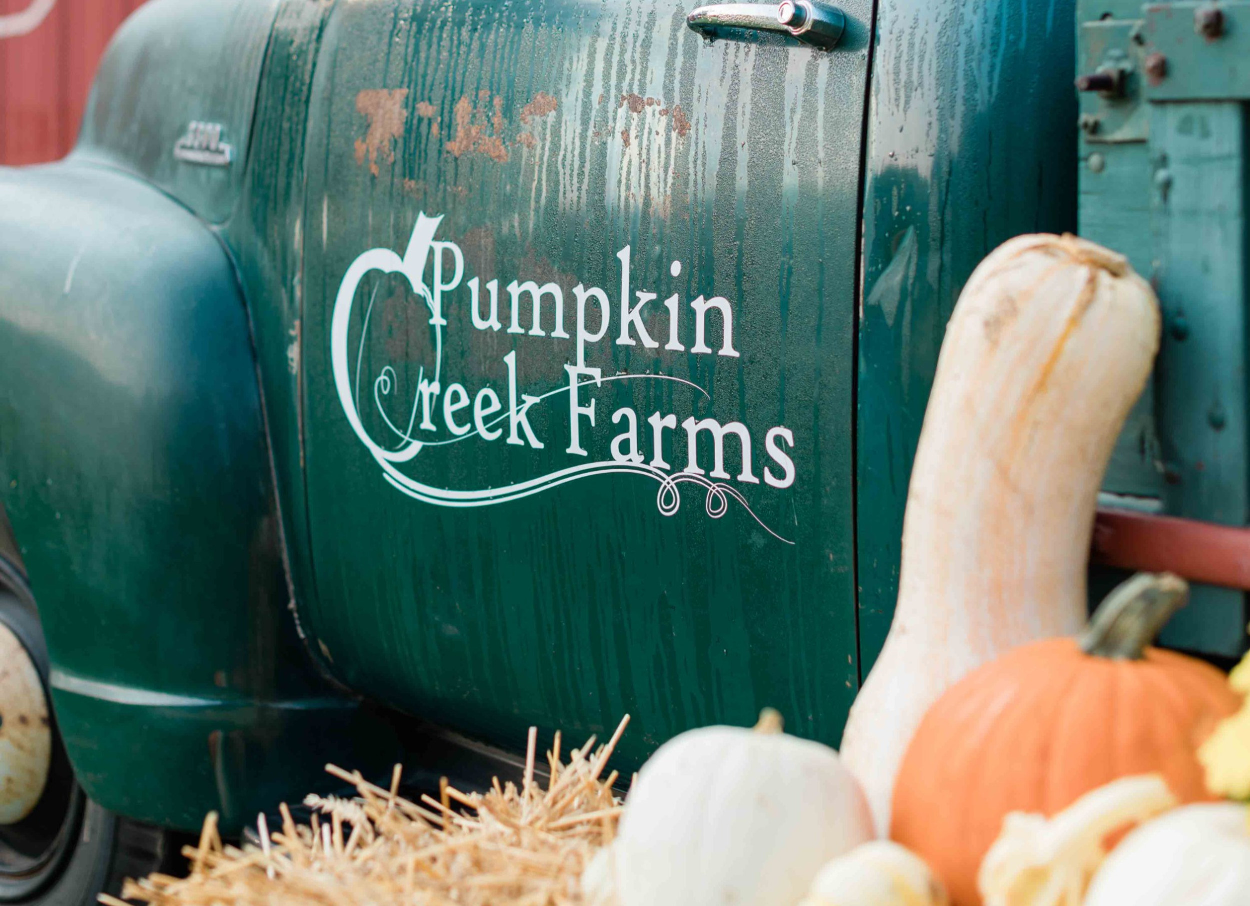 Pumpkin Creek Farms — farm_fall_attraction in Sherman, IL