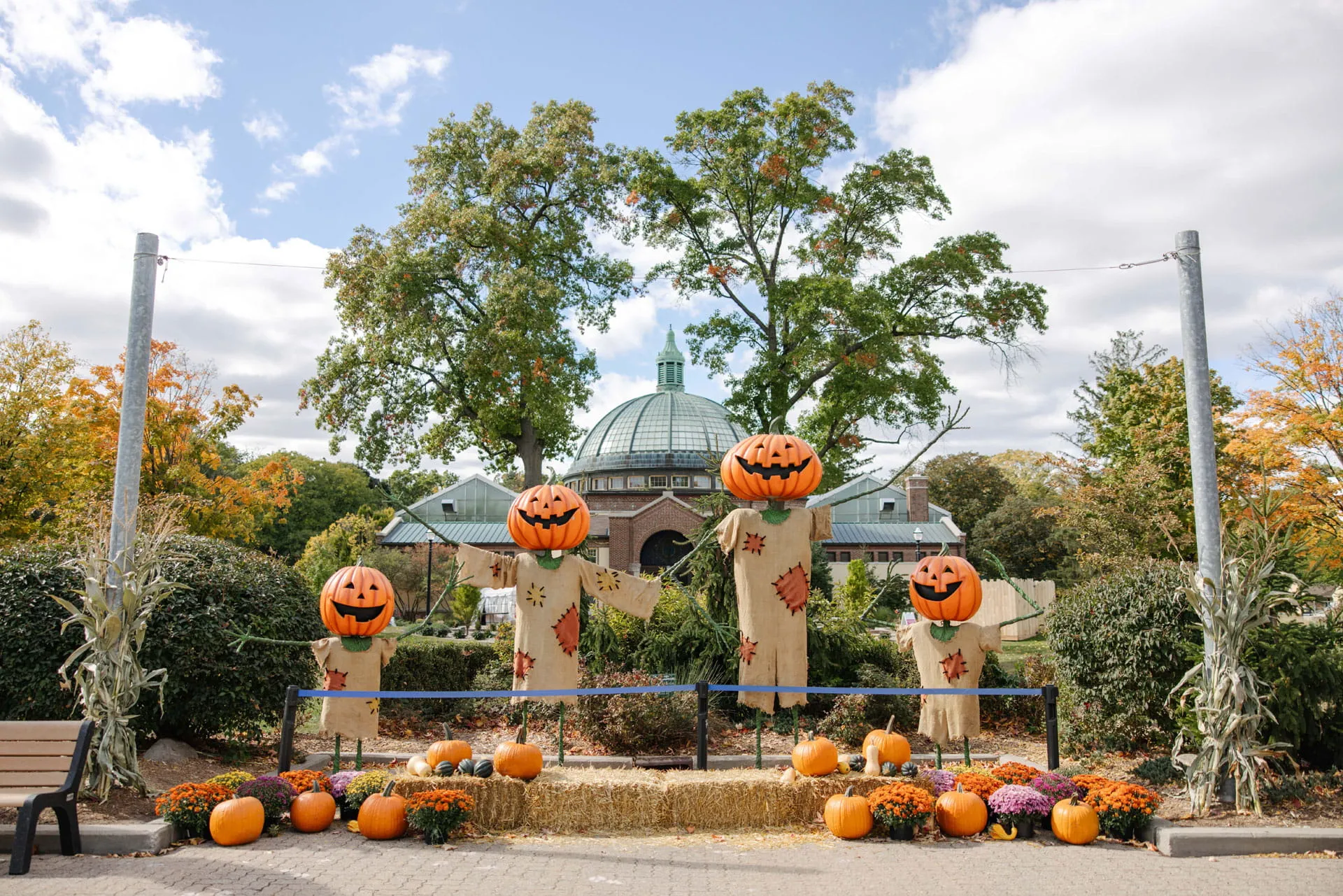 Zoo Boo at Detroit Zoo
