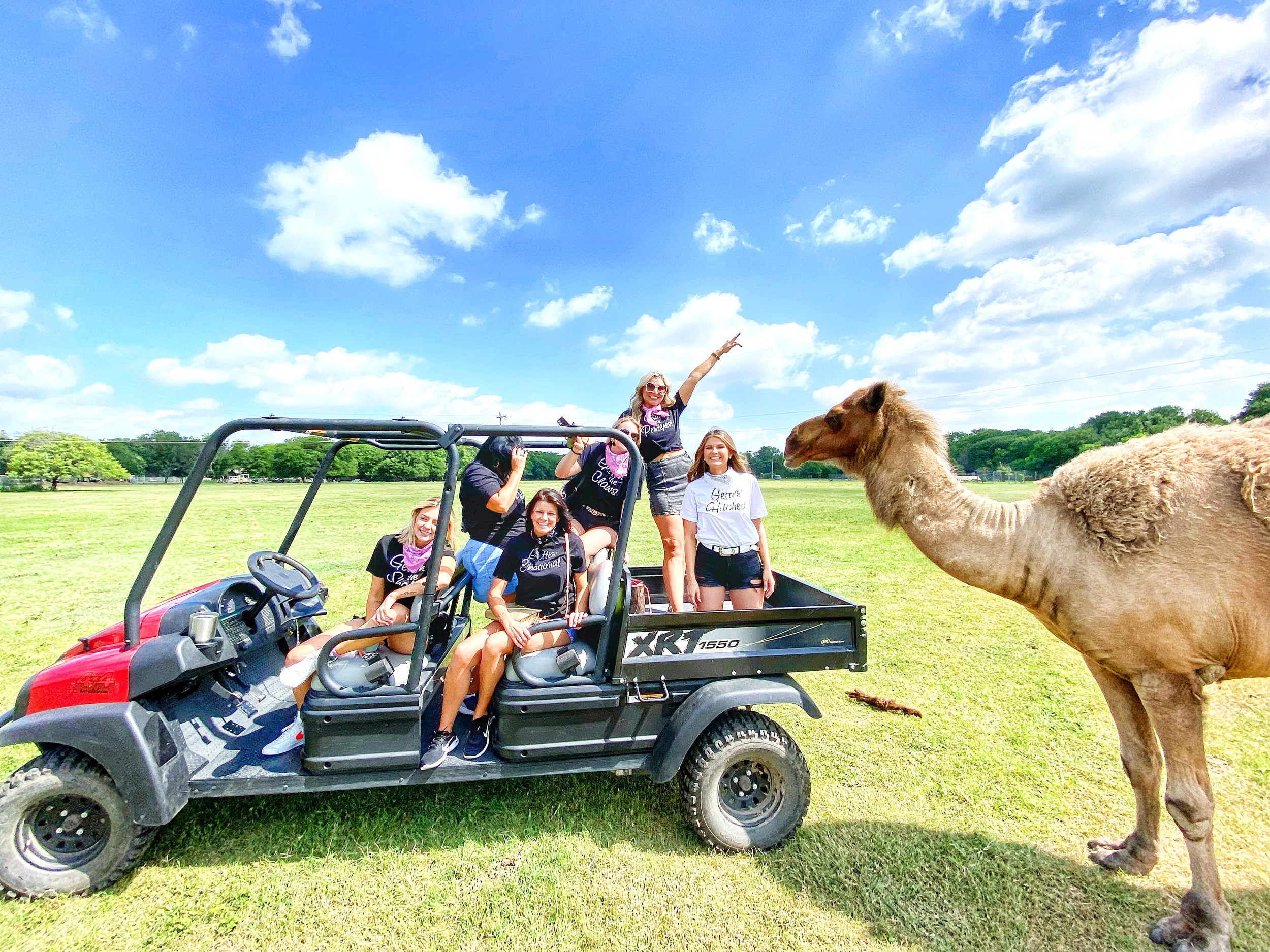 Indian Springs Ranch Fall Festival โ farm_fall_attraction in Manchaca, TX