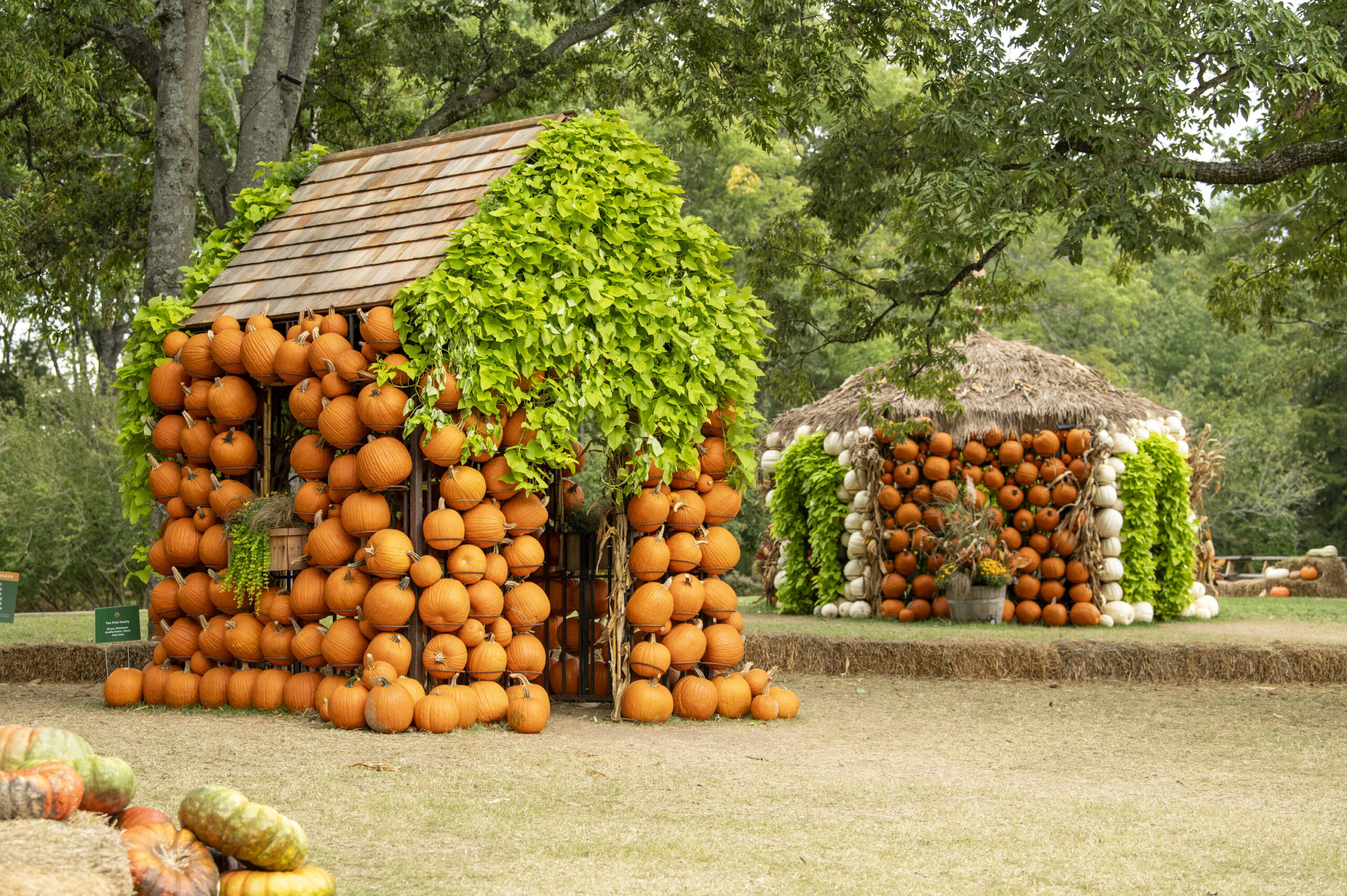 Cheekwood Harvest — farm_fall_attraction in Nashville, TN