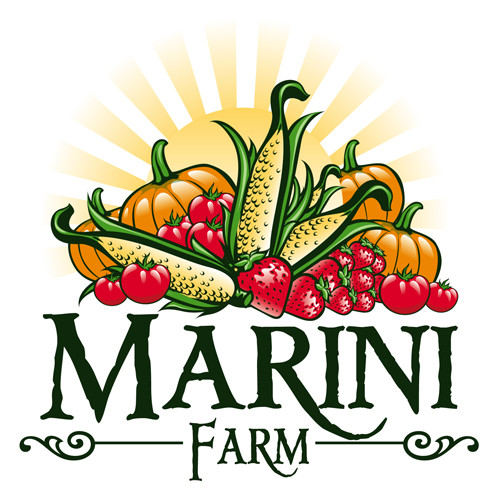Marini Farm Corn Maze โ farm_fall_attraction in Ipswich, MA
