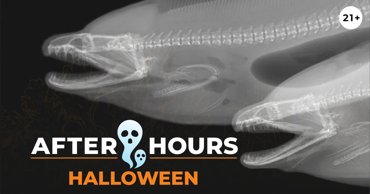 After Hours Premier: Halloween at Seattle Aquarium