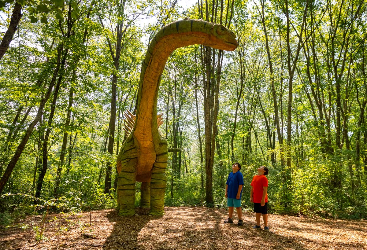 Pumpkin Passage at The Dinosaur Place — halloween_event in Montville, CT
