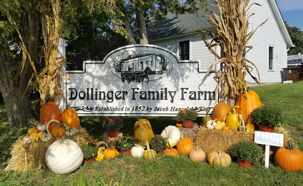 Dollinger Family Farm — farm_fall_attraction in Channahon, IL